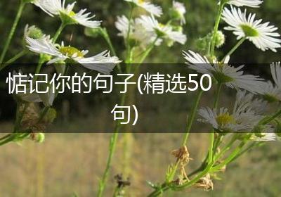 惦记你的句子(精选50句)