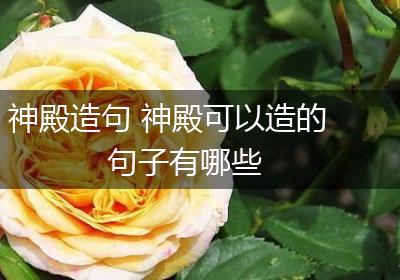 神殿造句 神殿可以造的句子有哪些