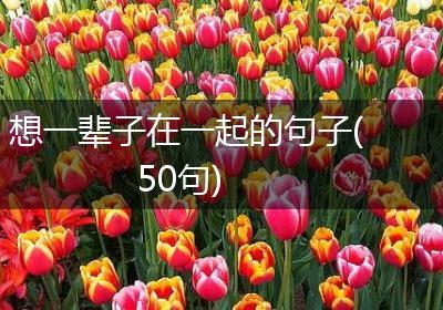 想一辈子在一起的句子(50句)