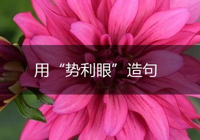 用“势利眼”造句