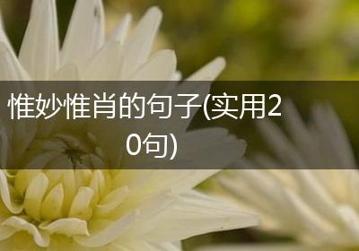 惟妙惟肖的句子(实用20句)