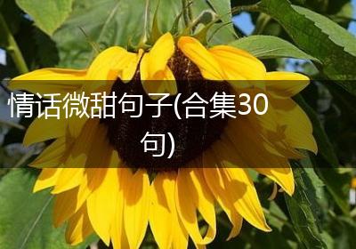 情话微甜句子(合集30句)