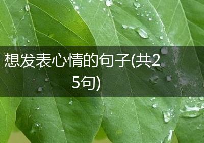 想发表心情的句子(共25句)