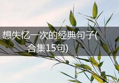 想失忆一次的经典句子(合集15句)