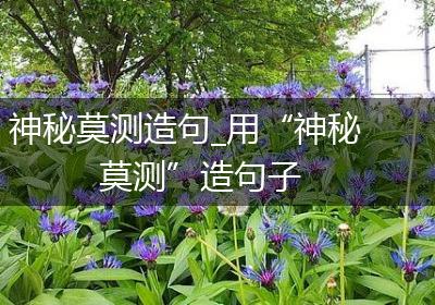 神秘莫测造句_用“神秘莫测”造句子