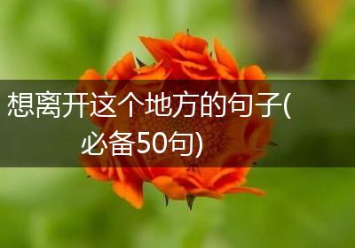 想离开这个地方的句子(必备50句)