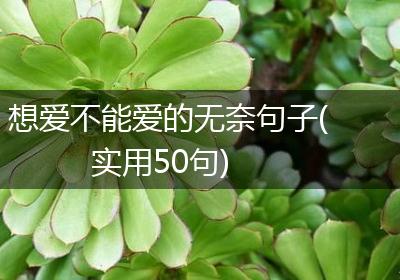 想爱不能爱的无奈句子(实用50句)