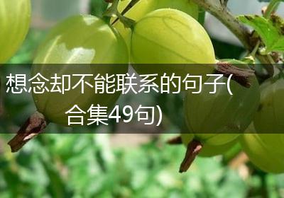 想念却不能联系的句子(合集49句)