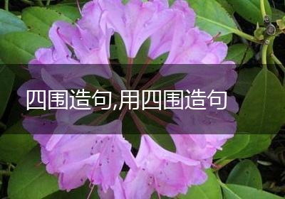 四围造句,用四围造句