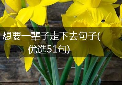 想要一辈子走下去句子(优选51句)