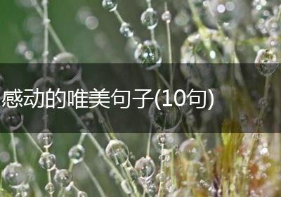感动的唯美句子(10句)