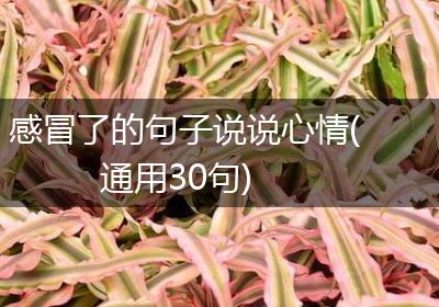 感冒了的句子说说心情(通用30句)