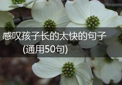 感叹孩子长的太快的句子(通用50句)