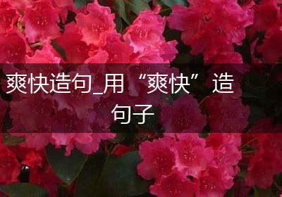 爽快造句_用“爽快”造句子