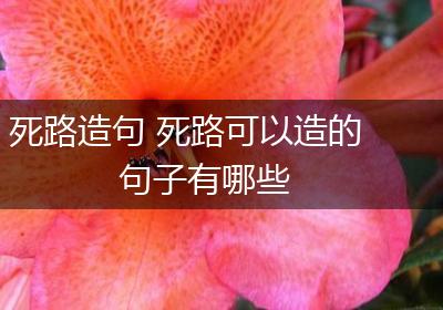 死路造句 死路可以造的句子有哪些