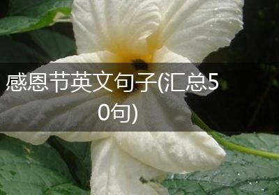 感恩节英文句子(汇总50句)
