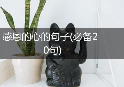 感恩的心的句子(必备20句)