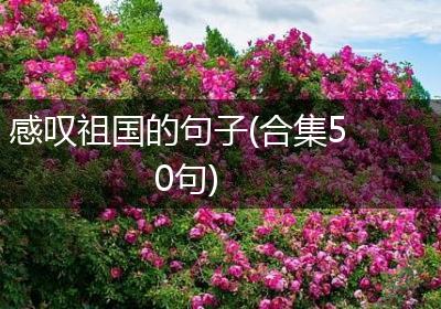 感叹祖国的句子(合集50句)