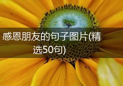 感恩朋友的句子图片(精选50句)