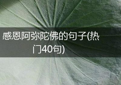感恩阿弥陀佛的句子(热门40句)