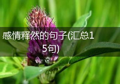 感情释然的句子(汇总15句)
