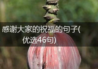 感谢大家的祝福的句子(优选46句)
