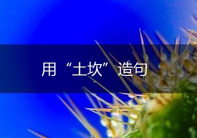 用“土坎”造句