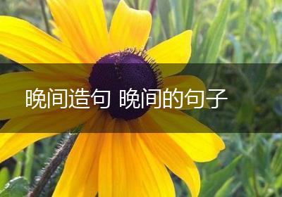 晚间造句 晚间的句子