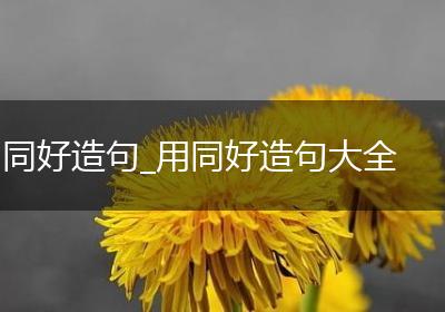 同好造句_用同好造句大全