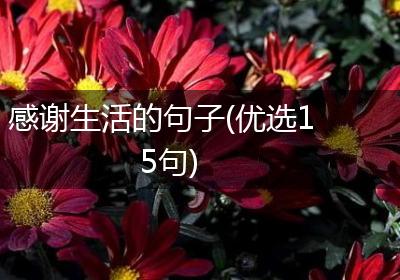 感谢生活的句子(优选15句)
