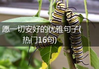愿一切安好的优雅句子(热门16句)