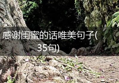 感谢闺蜜的话唯美句子(35句)
