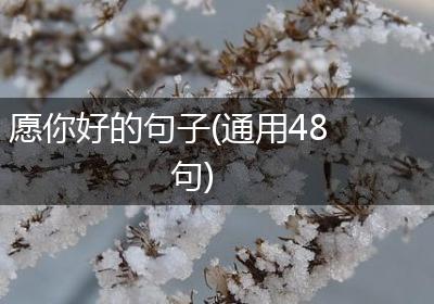 愿你好的句子(通用48句)