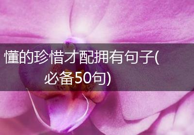 懂的珍惜才配拥有句子(必备50句)