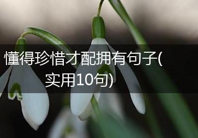 懂得珍惜才配拥有句子(实用10句)