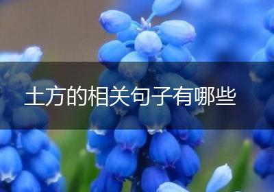 土方的相关句子有哪些