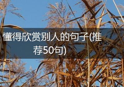懂得欣赏别人的句子(推荐50句)