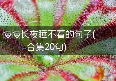 慢慢长夜睡不着的句子(合集20句)