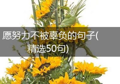 愿努力不被辜负的句子(精选50句)