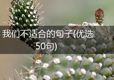 我们不适合的句子(优选50句)