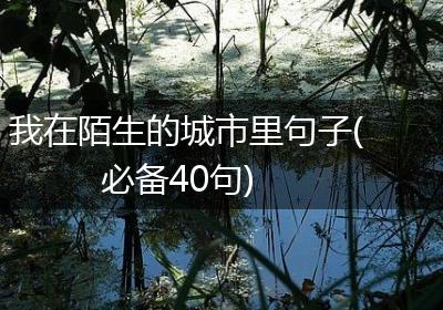 我在陌生的城市里句子(必备40句)