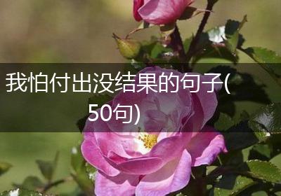 我怕付出没结果的句子(50句)