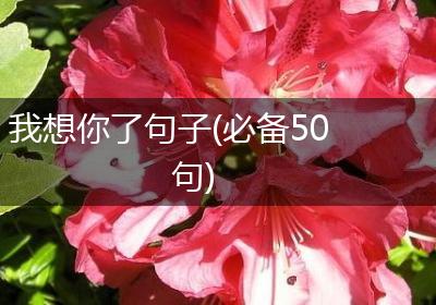 我想你了句子(必备50句)