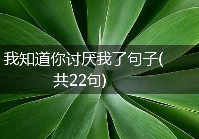 我知道你讨厌我了句子(共22句)