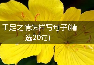手足之情怎样写句子(精选20句)