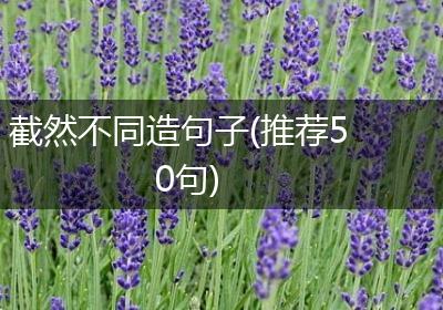 截然不同造句子(推荐50句)