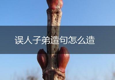 误人子弟造句怎么造