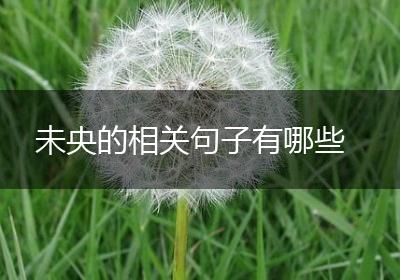 未央的相关句子有哪些