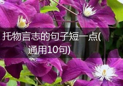 托物言志的句子短一点(通用10句)