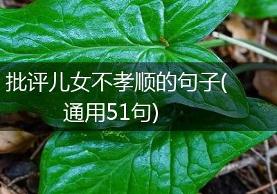 批评儿女不孝顺的句子(通用51句)